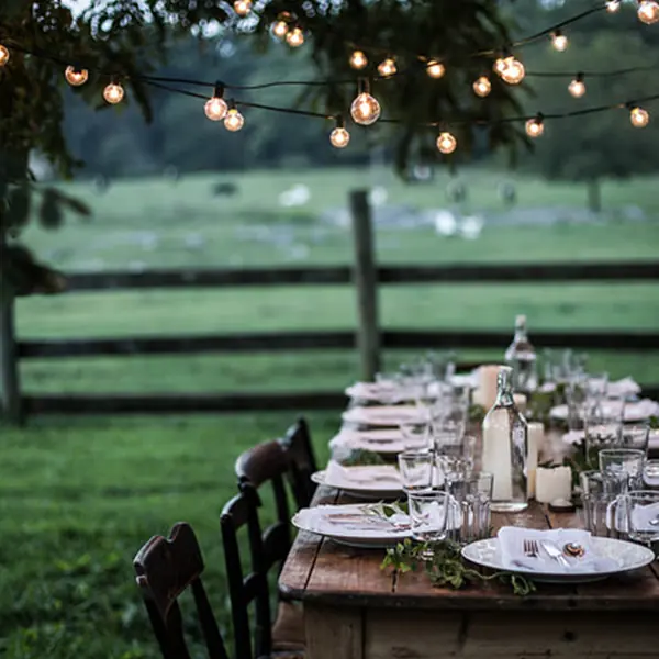 A long table set for a garden party under lights